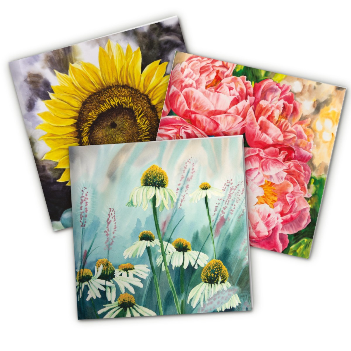 Suvelilledega õnnitluskaartide komplekt - päevalill, pojengid, siilkübarad